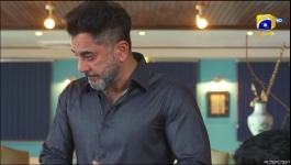 Mehroom - Episode 53 - 3rd Jun 2024